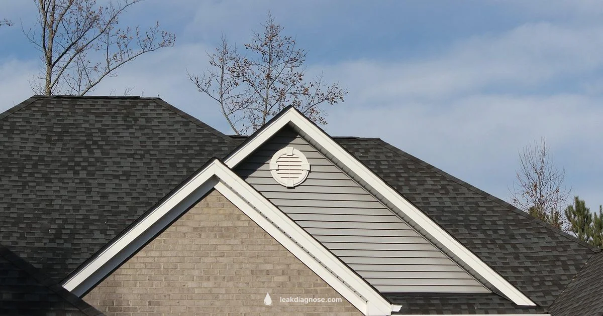 Roof Leak Fix Guide - Leak Diagnosis