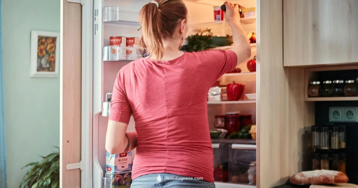 Fridge Leak Guide - Leak Diagnosis