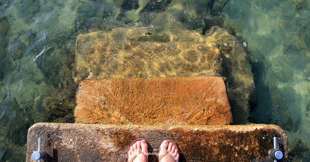 Fix Leaking Steps - Leak Diagnosis