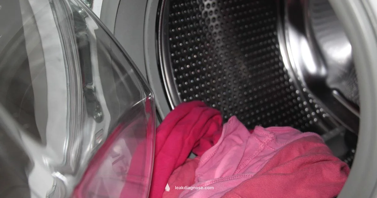 Washing Machine Leak - Leak Diagnosis