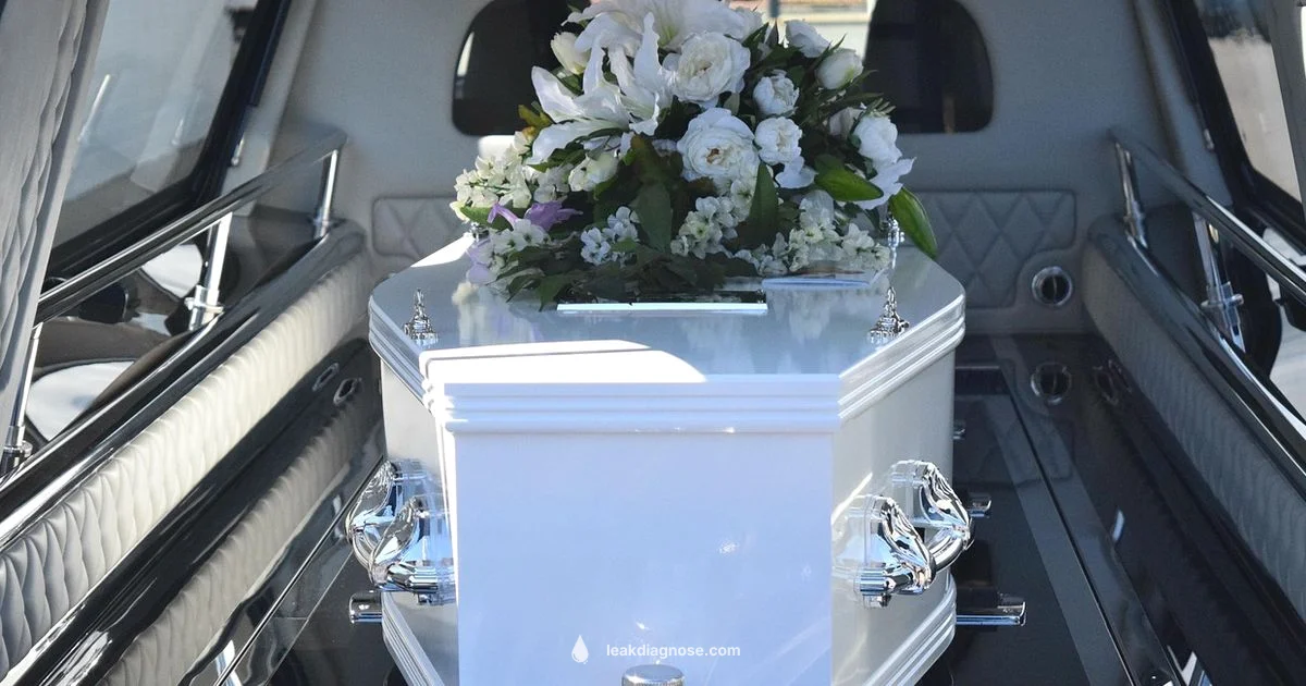 Local vs National Local vs National - Leak Diagnosis