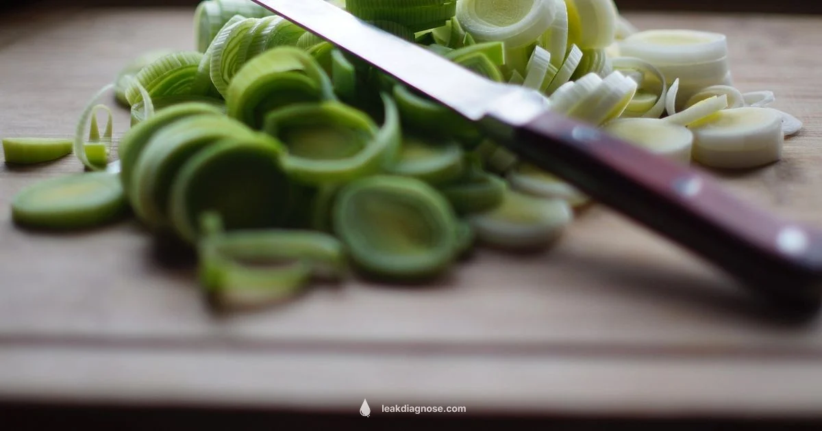 Leek Prep Core - Leak Diagnosis