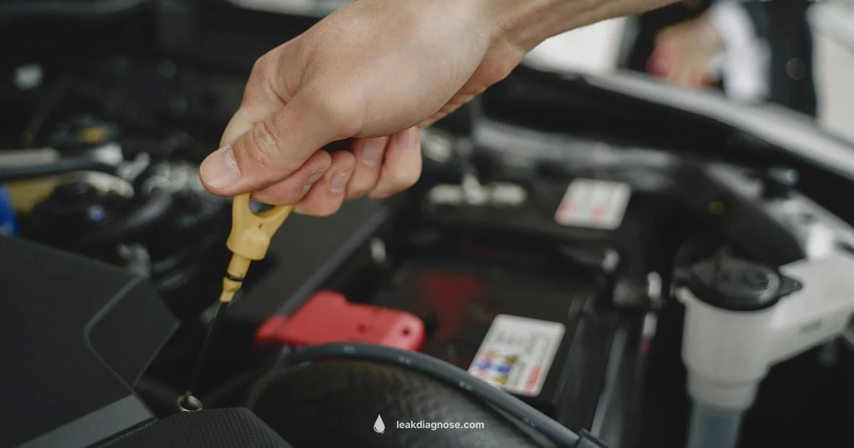 EVAP Leak Guide - Leak Diagnosis