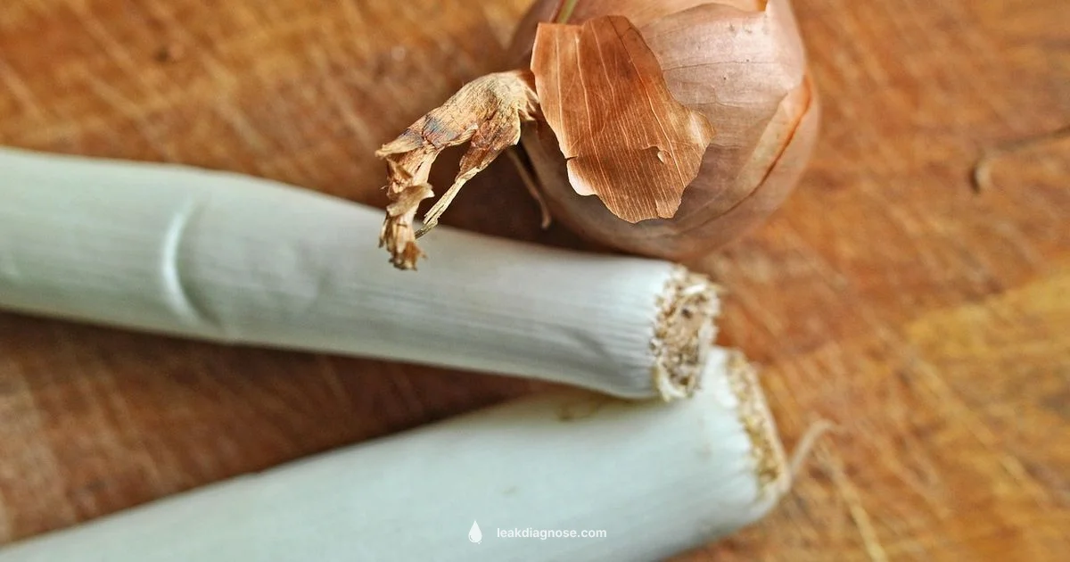 Leek Weight Loss Guide Leek Weight Loss Guide - Leak Diagnosis