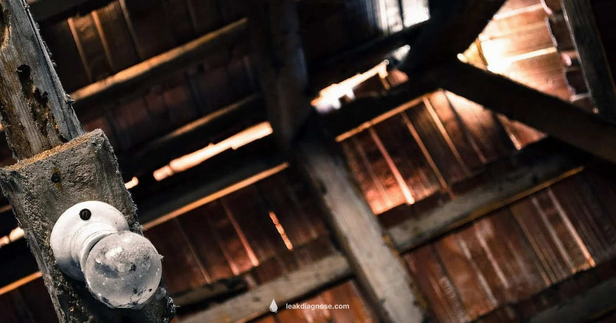 Roof Leak Coverage Guide - Leak Diagnosis