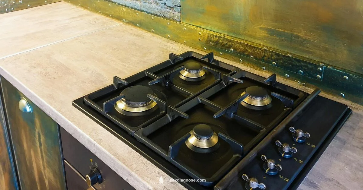 Gas Safety at Home Gas Safety at Home - Leak Diagnosis