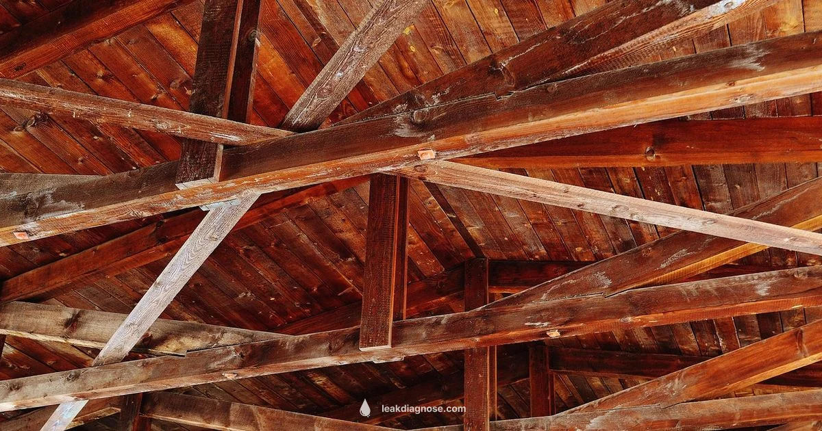 Ceiling Leak Guide - Leak Diagnosis