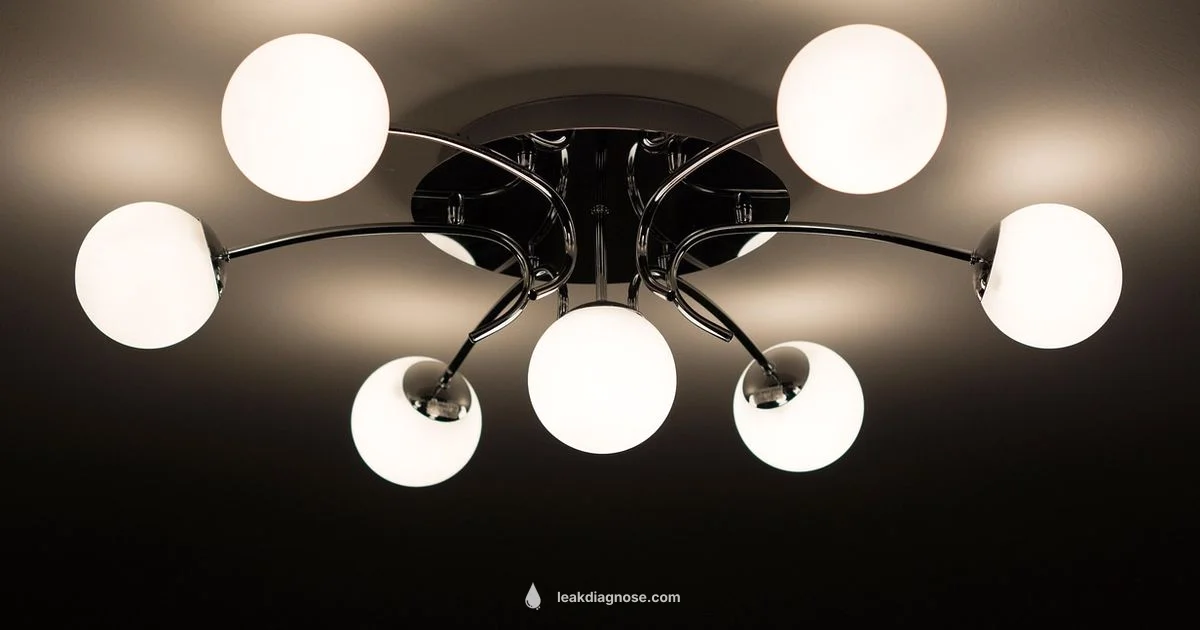 Light Leak Fix Light Leak Fix - Leak Diagnosis