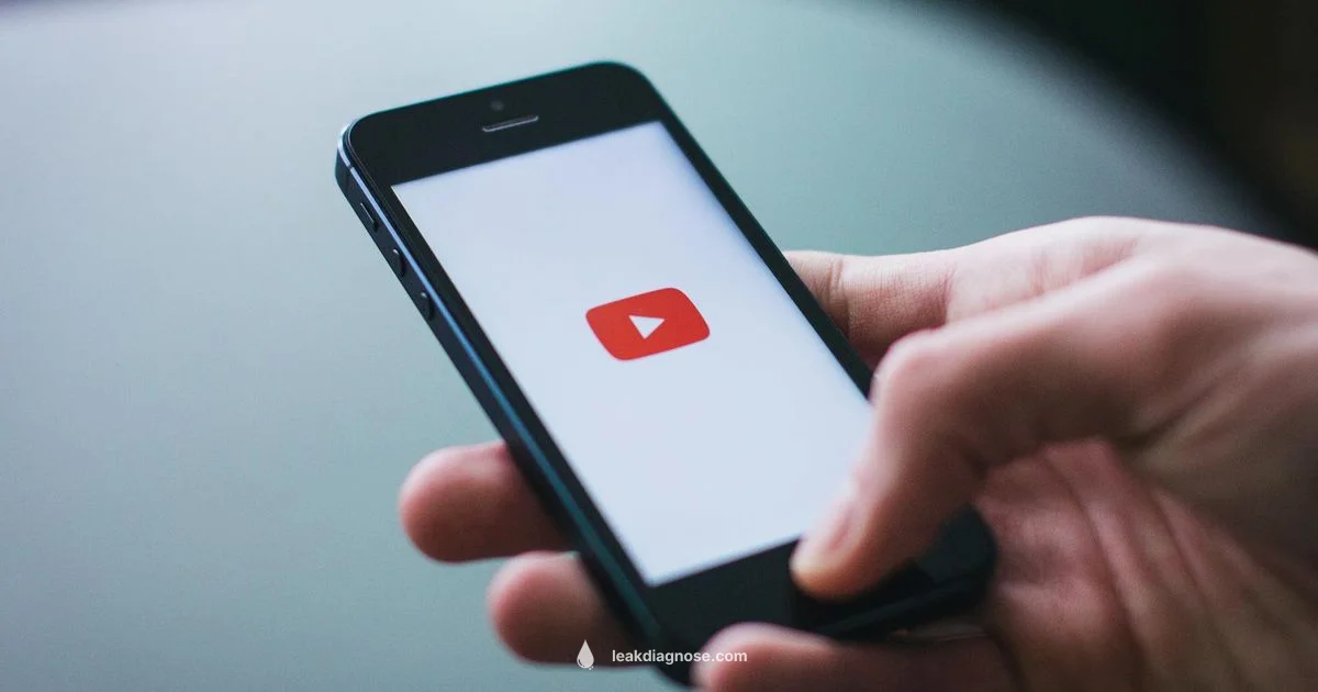 Twitter Leak Video Guide - Leak Diagnosis