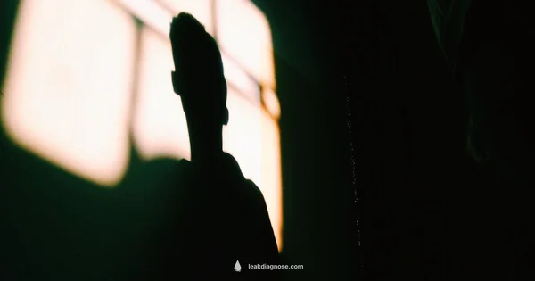 Leak Insight - Leak Diagnosis