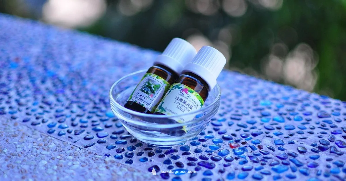 Leak-Proof Period Plan - Leak Diagnosis