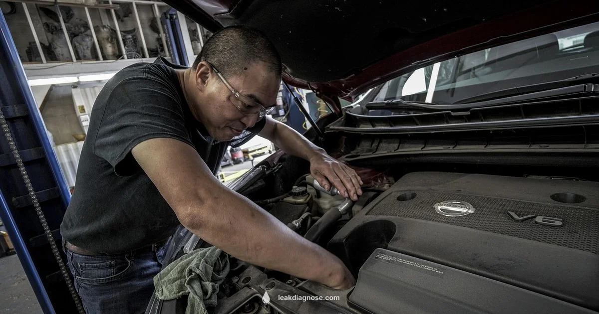 Oil Leak Fix Guide - Leak Diagnosis