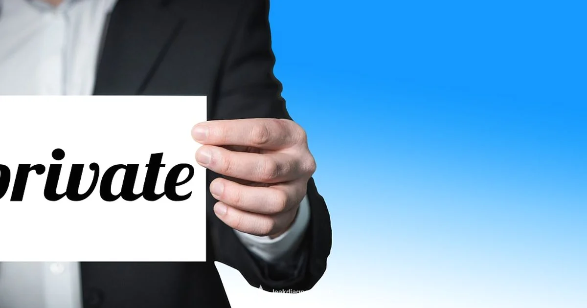 Privacy Check - Leak Diagnosis