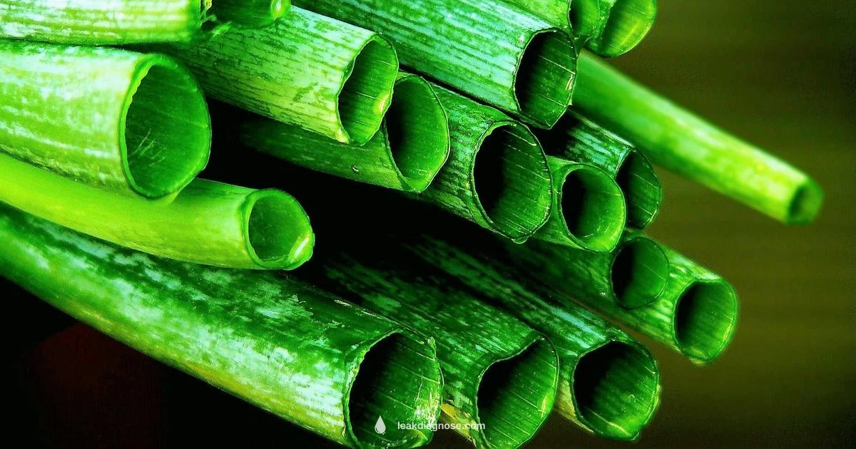 Fresh Leek Overview Fresh Leek Overview - Leak Diagnosis