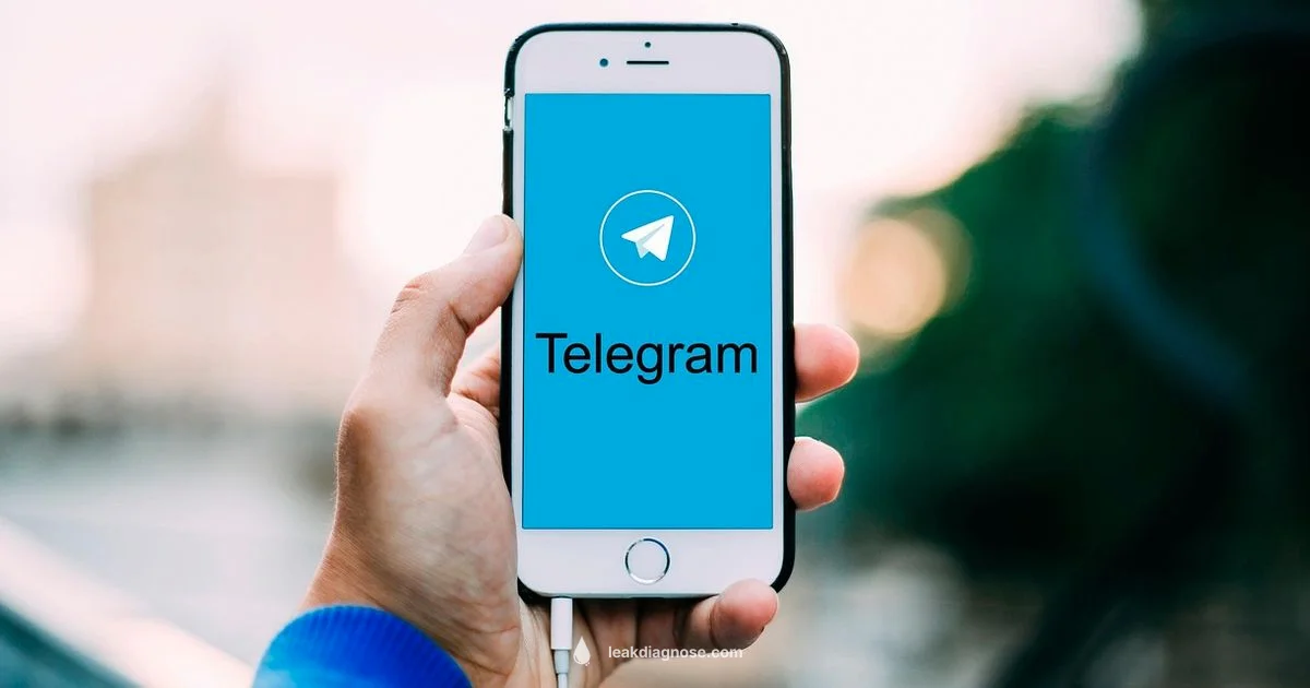 Telegram Leak Guide - Leak Diagnosis