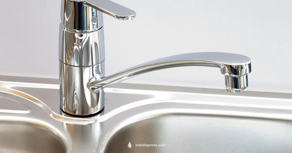 Tap Leak Fix - Leak Diagnosis