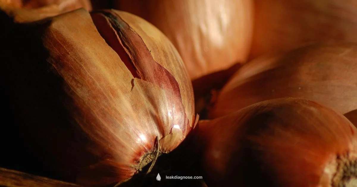 Leek vs Shallot - Leak Diagnosis