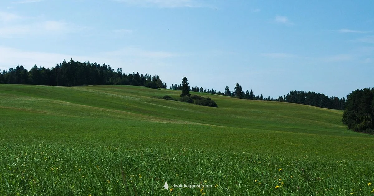 Leek Forage Guide Leek Forage Guide - Leak Diagnosis