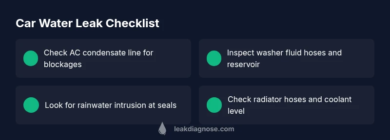 Checklist for diagnosing car water leaks