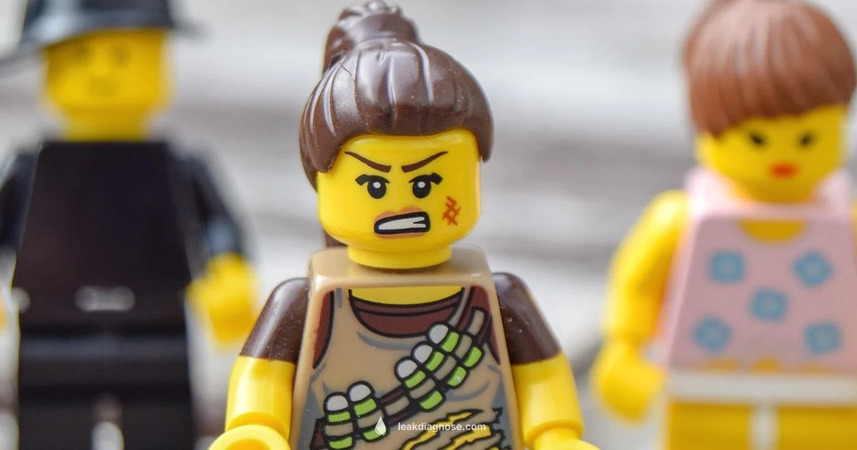 LEGO Film Landscape LEGO Film Landscape - Leak Diagnosis