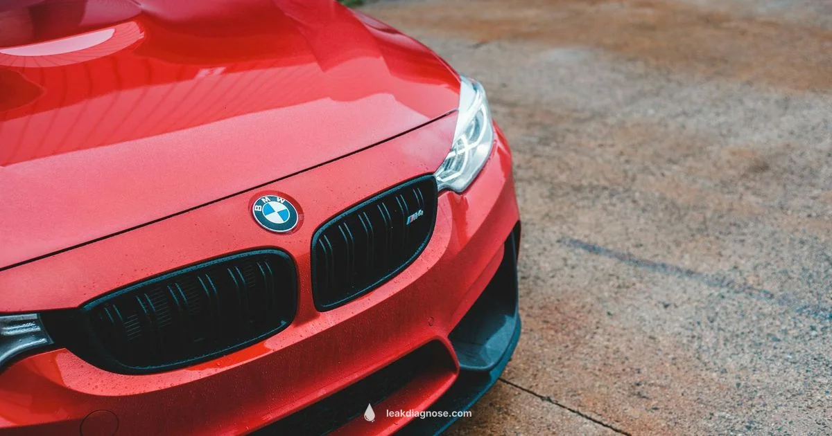 Coolant Leak Fix - Leak Diagnosis