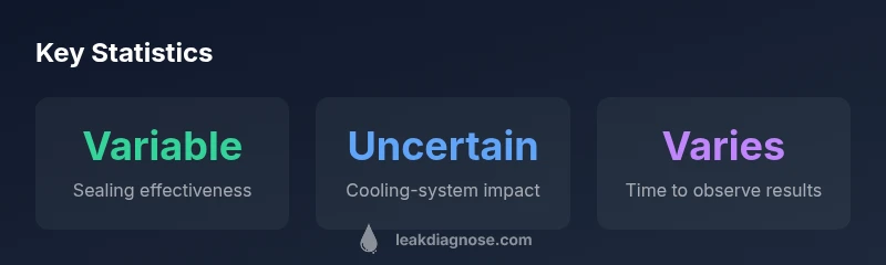 Infographic showing Bars Leak effectiveness varies and factors affecting result
