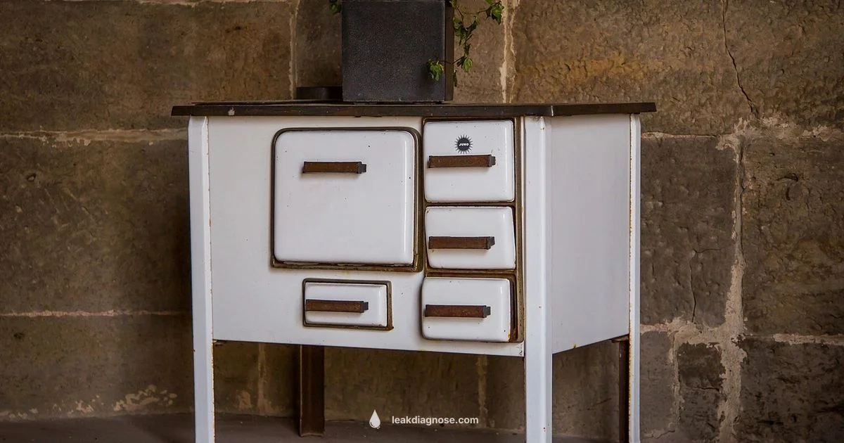 Gas Leak Signs - Leak Diagnosis