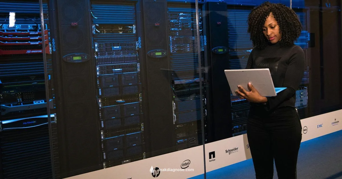 Memory Leak Defined - Leak Diagnosis