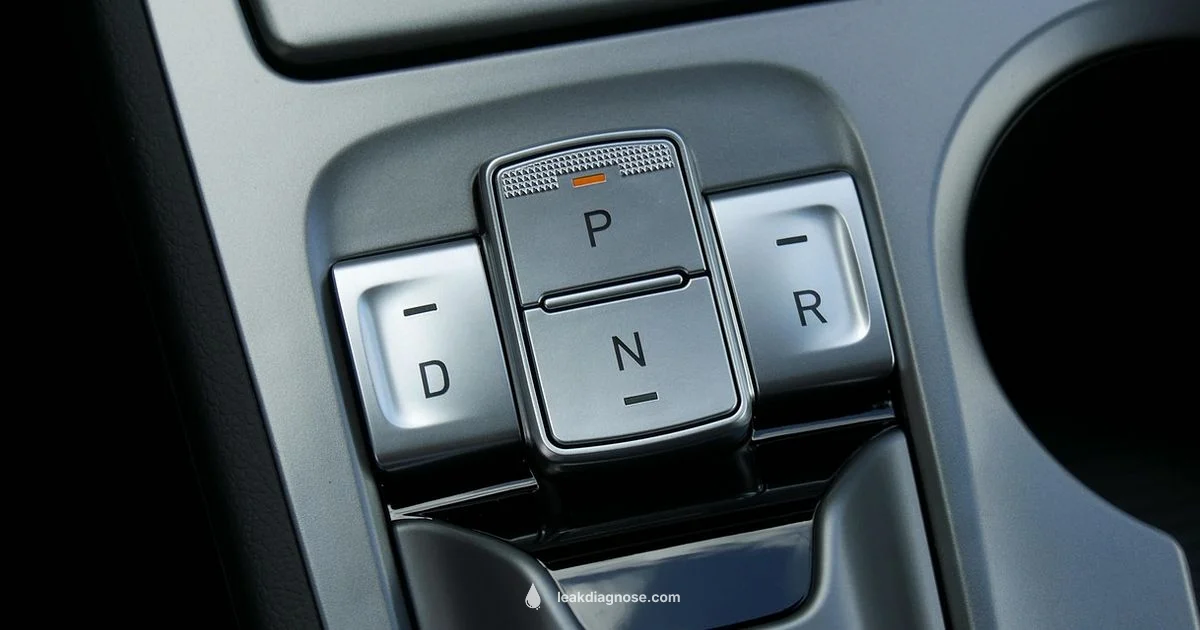 Transmission Leak Guide - Leak Diagnosis