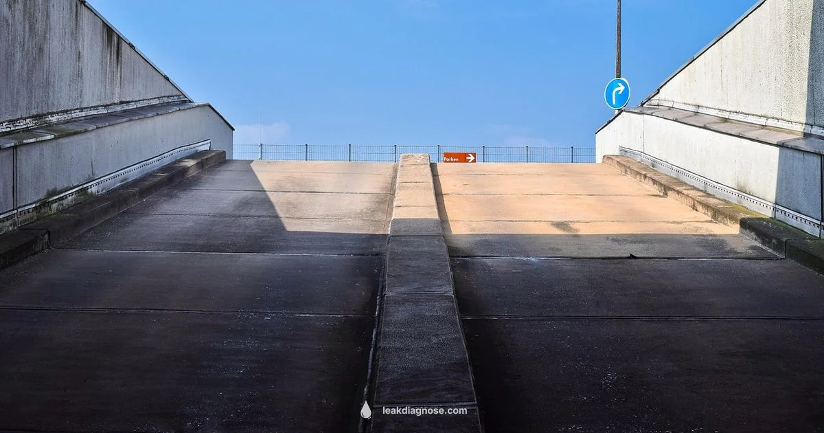 Oil Leak Diagnostics - Leak Diagnosis