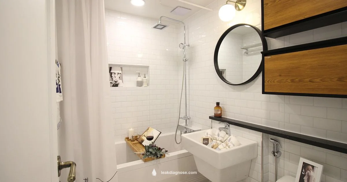 Find a Water Leak - Leak Diagnosis