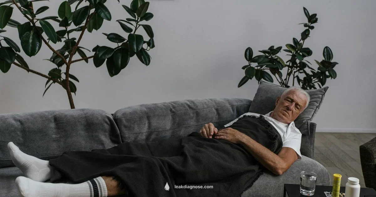 Leak Recovery Timeline - Leak Diagnosis