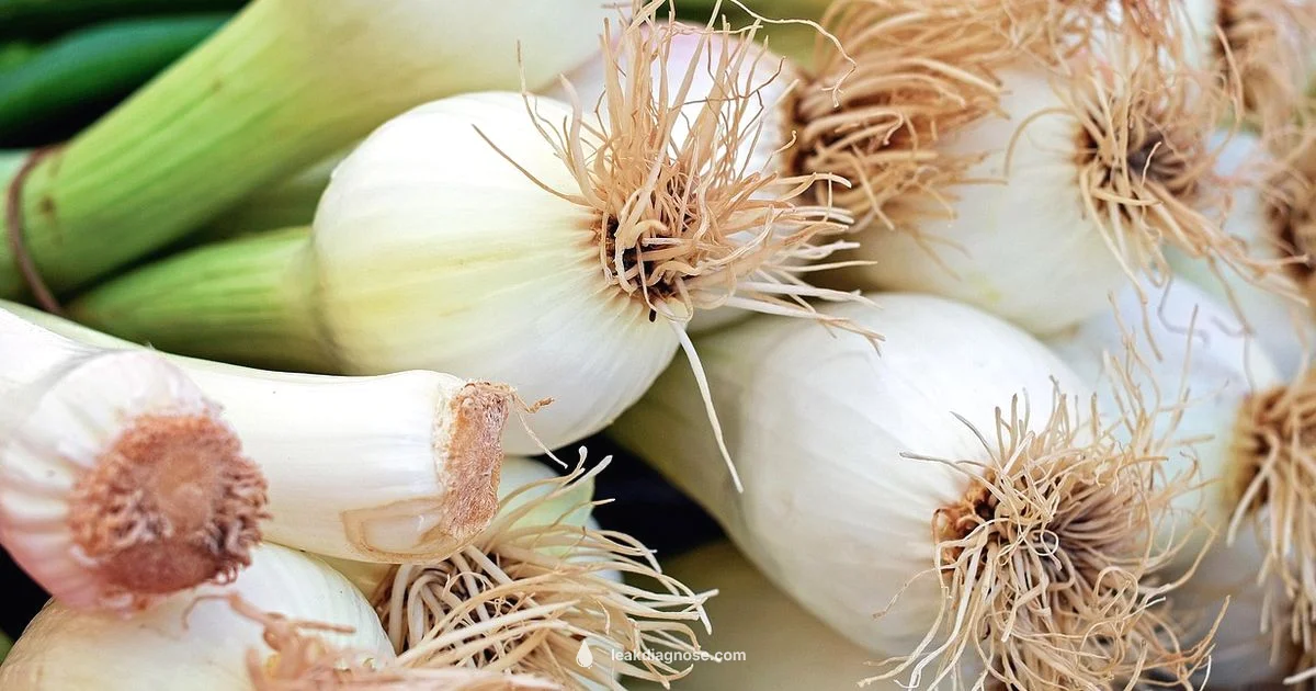 Leek vs Onion Leek vs Onion - Leak Diagnosis