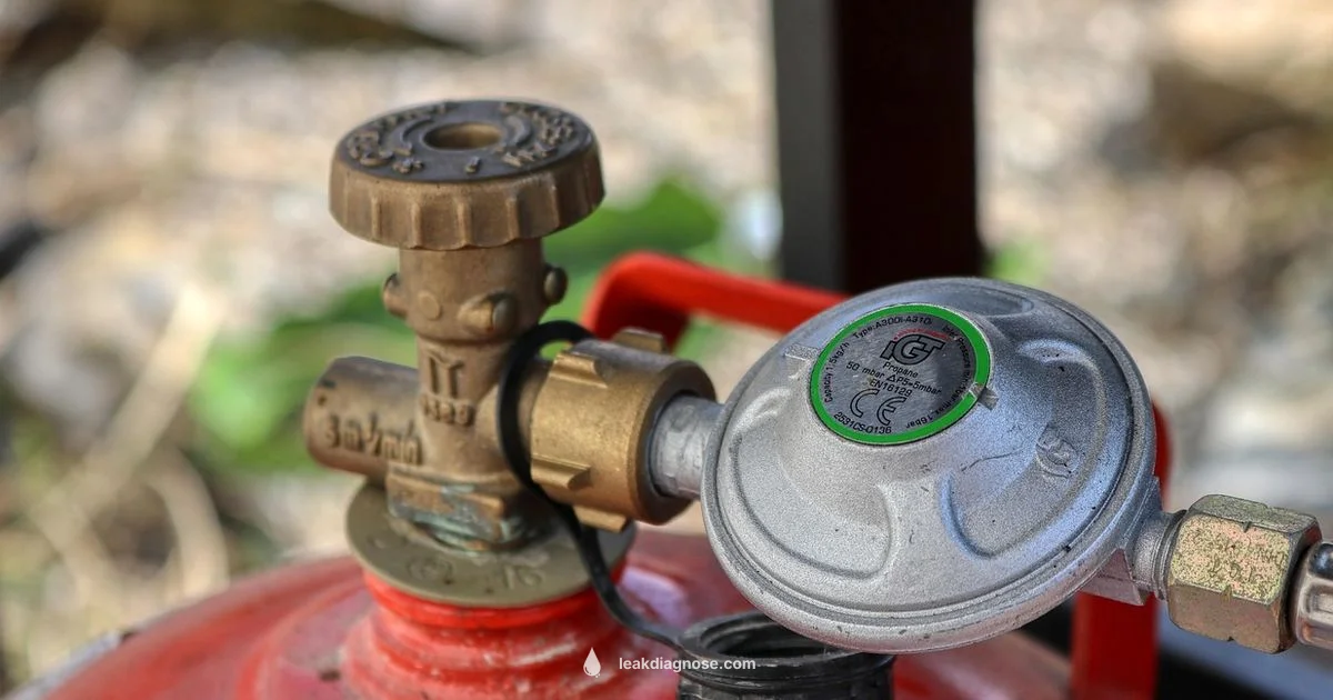Propane Leak Test Propane Leak Test - Leak Diagnosis