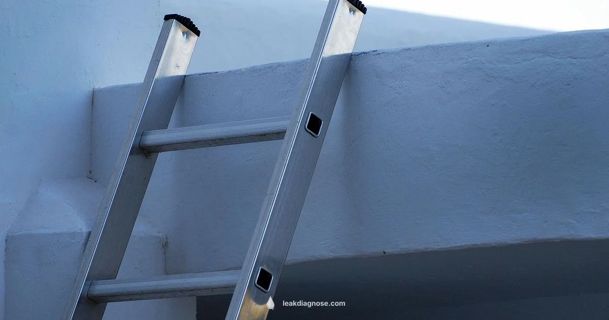 Leaky Roof Fix - Leak Diagnosis