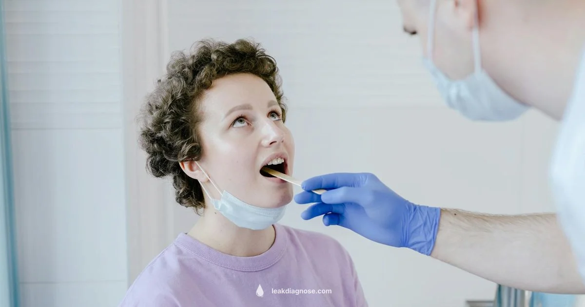 Anal Leakage Guide - Leak Diagnosis