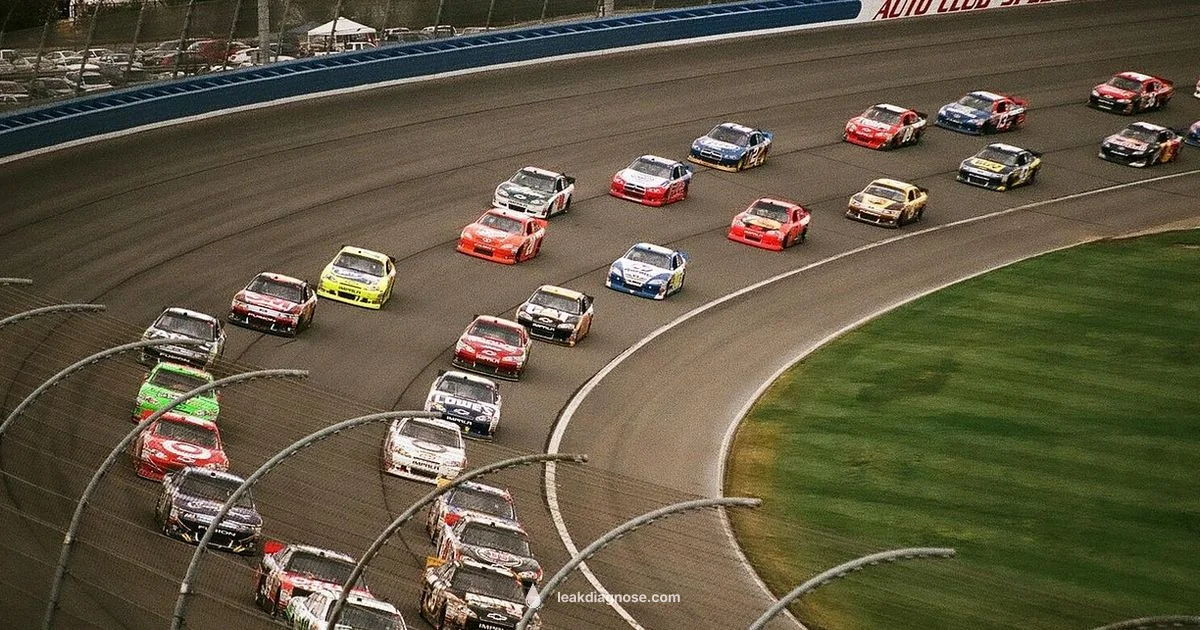 Coolant Leak Guide - Leak Diagnosis