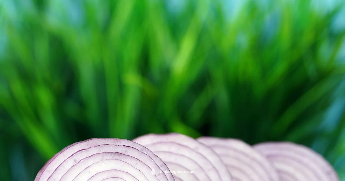 Leek Flavor Guide Leek Flavor Guide - Leak Diagnosis