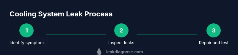 Infographic showing a three-step cooling system leak process