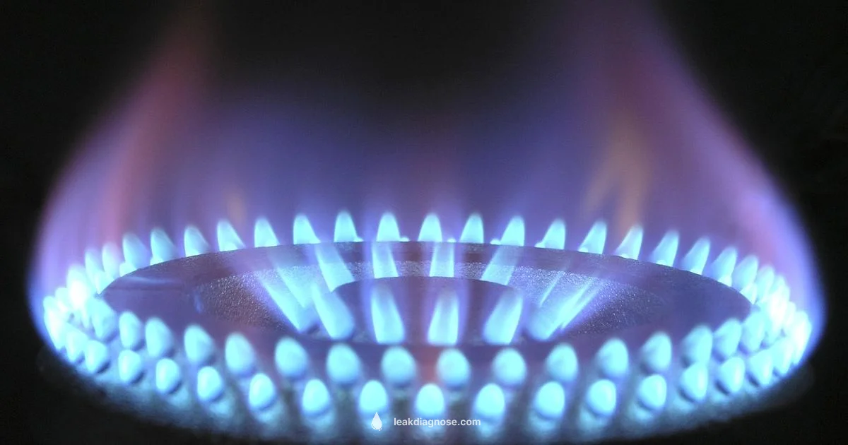 Gas Leak Safety - Leak Diagnosis