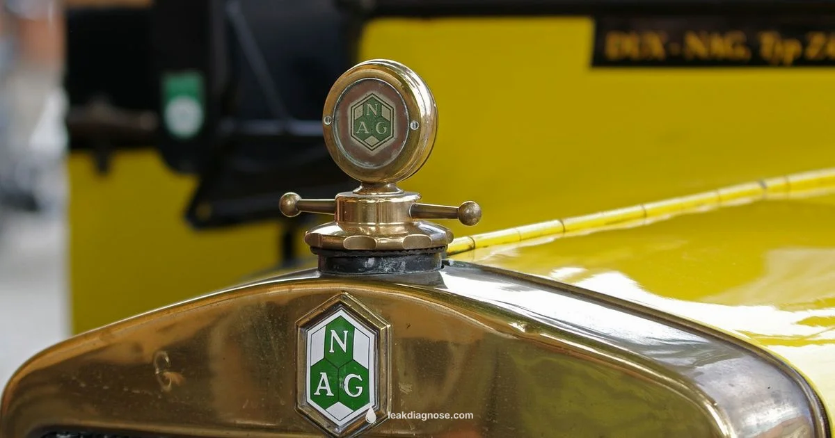 Bars Leaks Guide - Leak Diagnosis