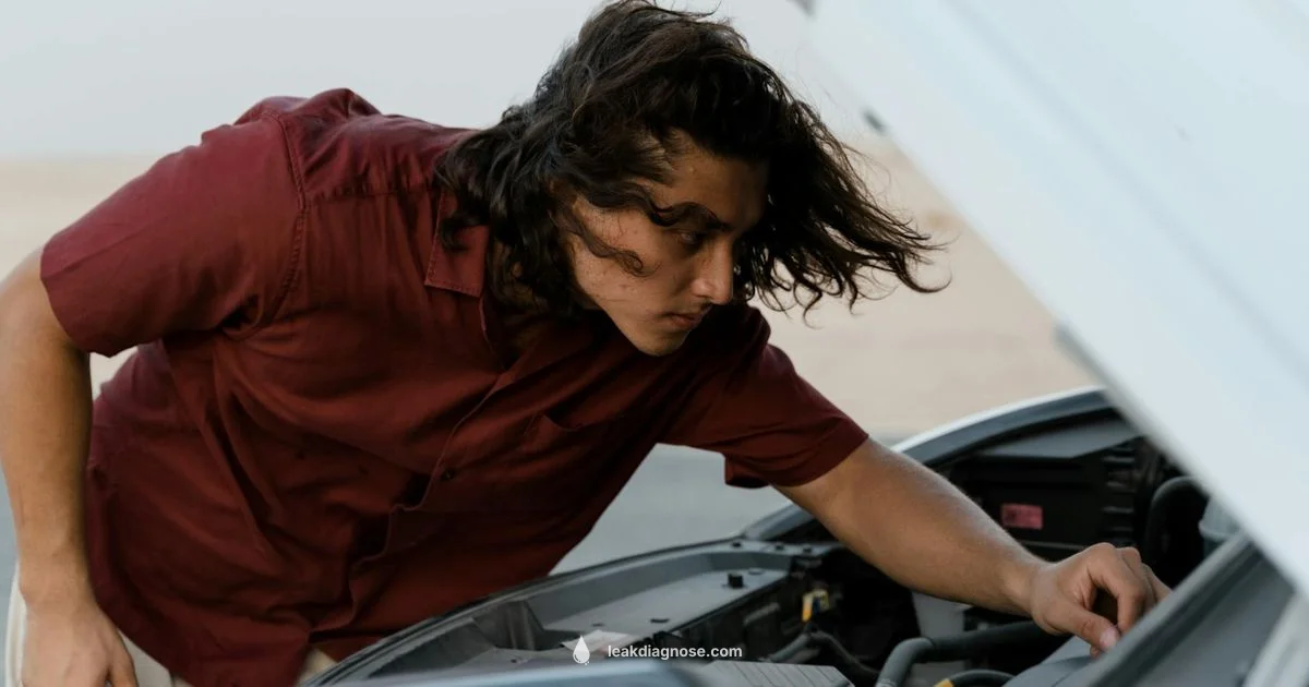 Car AC Leak Guide - Leak Diagnosis