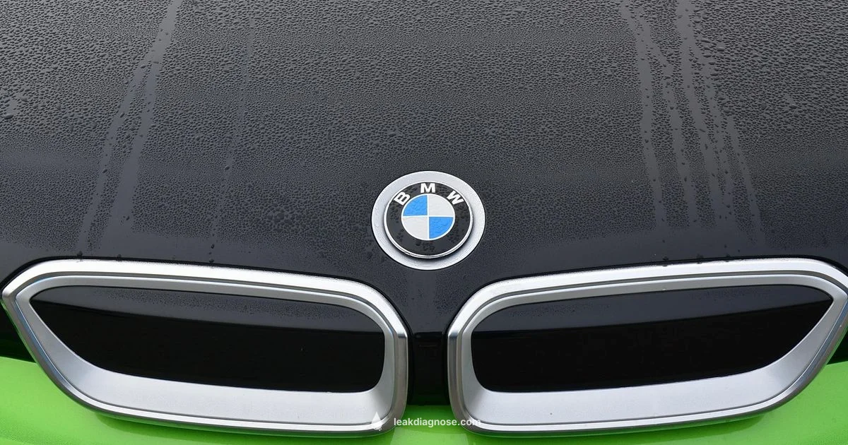 Coolant Leak Costs - Leak Diagnosis