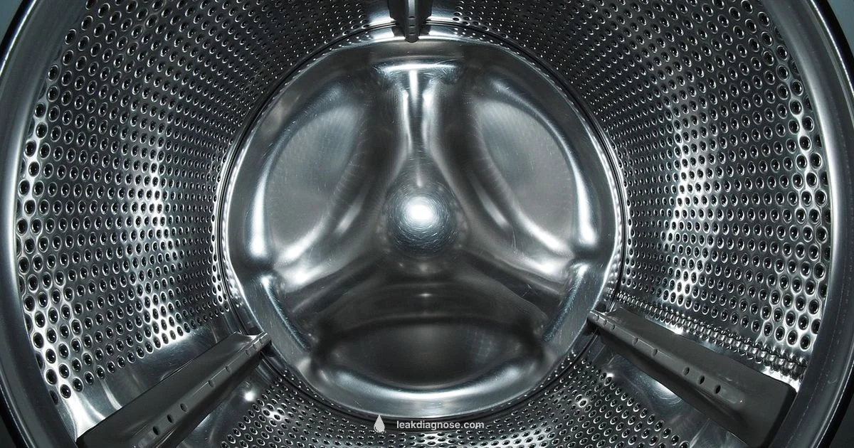 Washing Machine Leak - Leak Diagnosis
