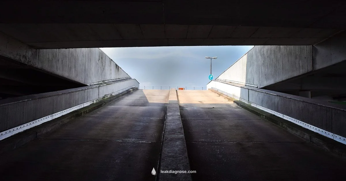 Transmission Leak Guide - Leak Diagnosis