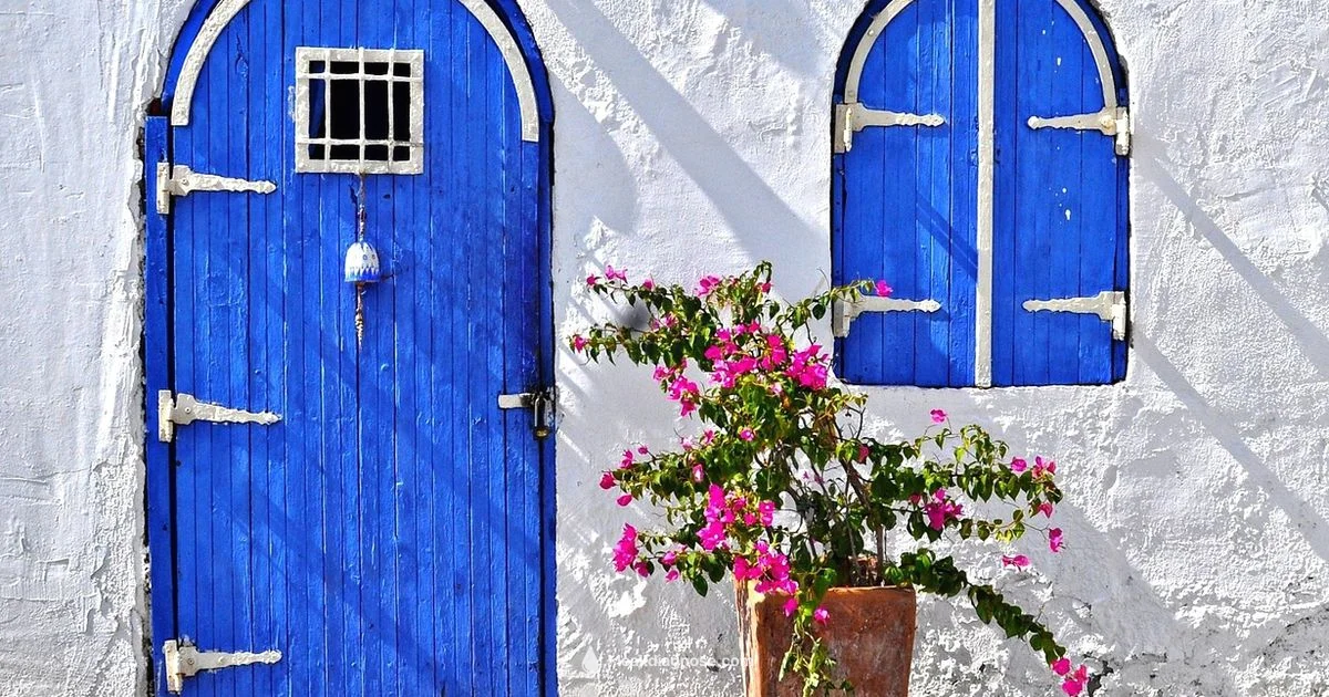 Basement Leak Costs Basement Leak Costs - Leak Diagnosis