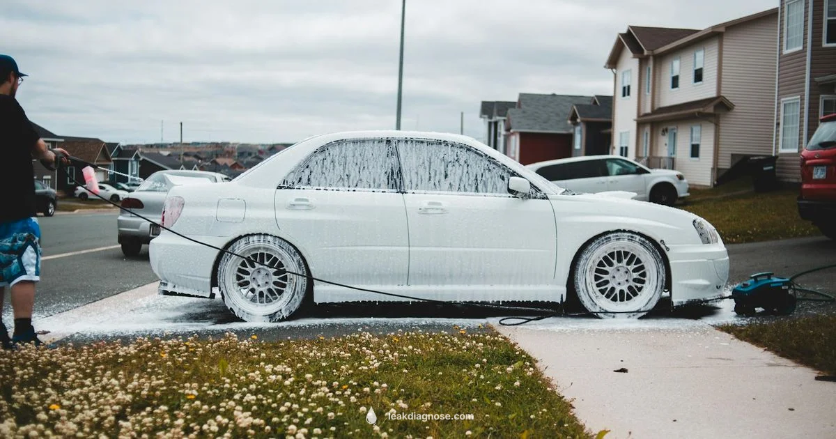 Transmission Fluid Leak - Leak Diagnosis