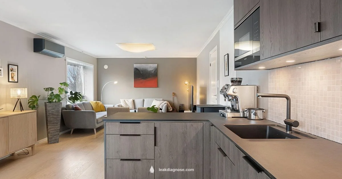 Water Leak Guide - Leak Diagnosis