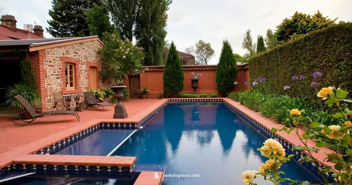 Pool Dye Leak Test - Leak Diagnosis