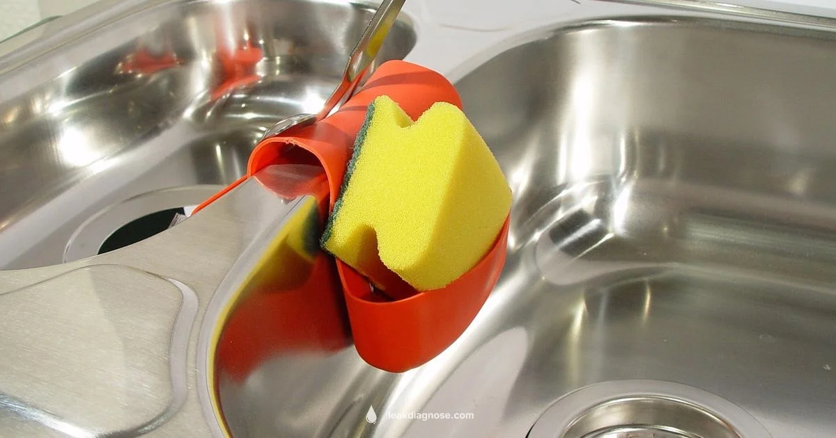 Water Leak Guide - Leak Diagnosis